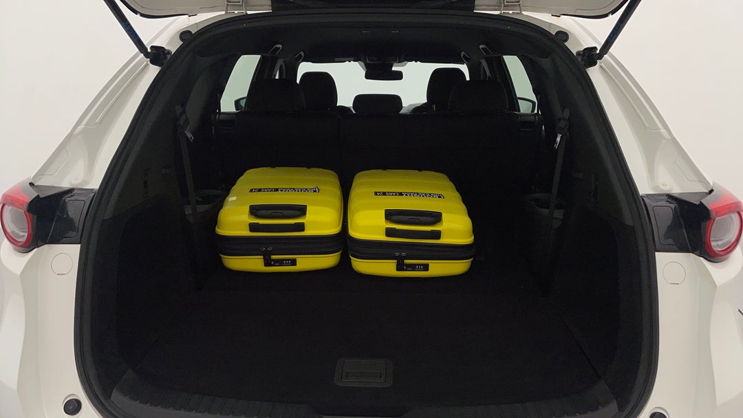 Boot Inside View with Luggage