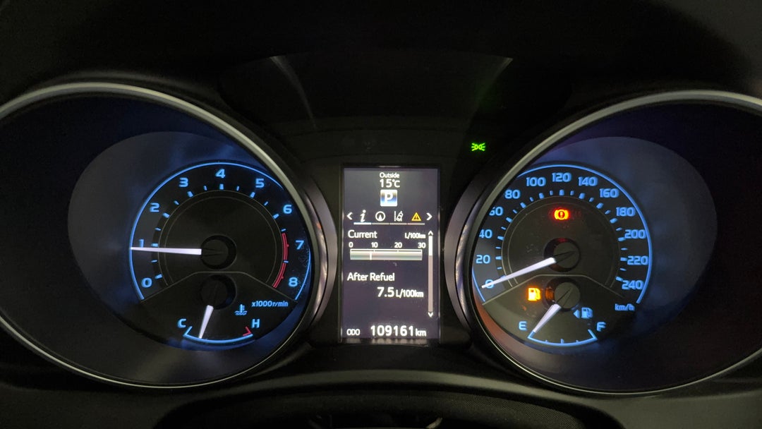 Odometer View