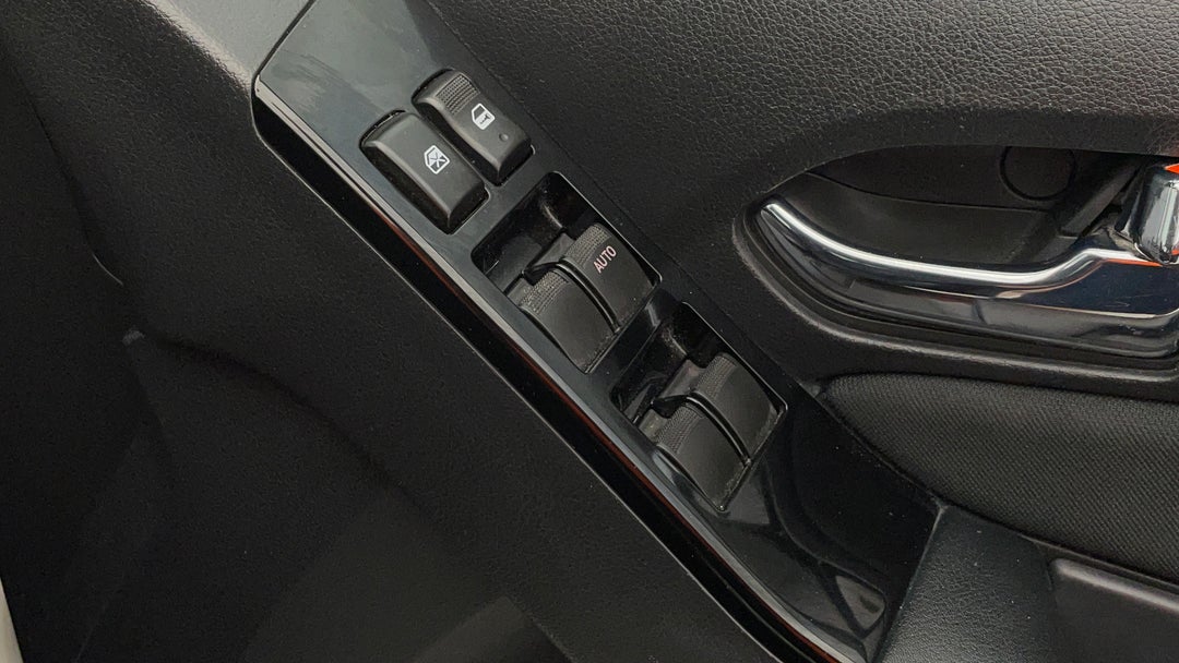 Drivers Side Door Panel Controls