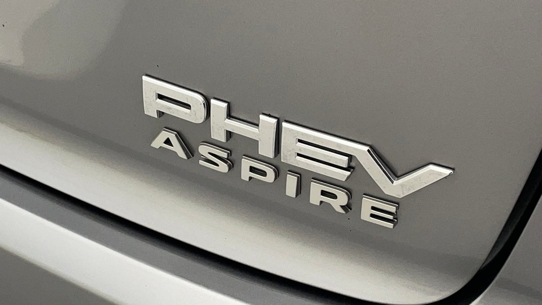 Badge (Boot Right Side)