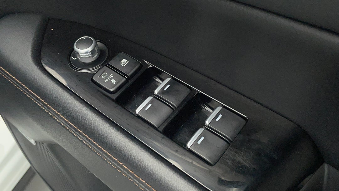 Drivers Side Door Panel Controls