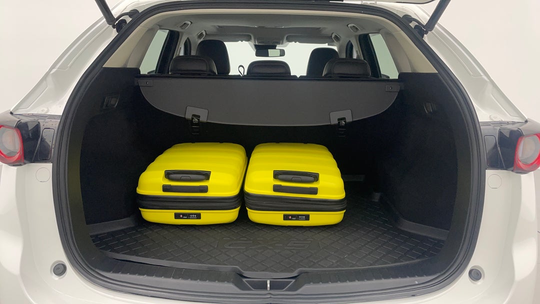 Boot Inside View with Luggage