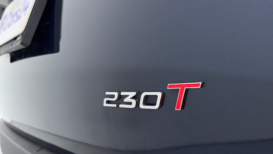 Badge (Boot Right Side)