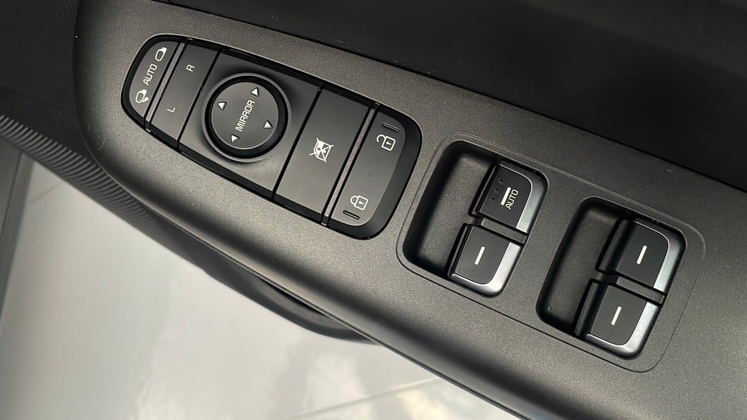 Drivers Side Door Panel Controls