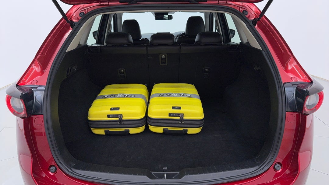 Boot Inside View with Luggage