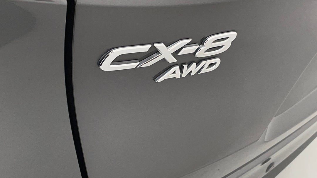 Badge (Boot Left Side)