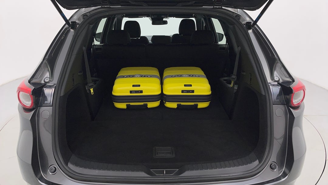 Boot Inside View with Luggage