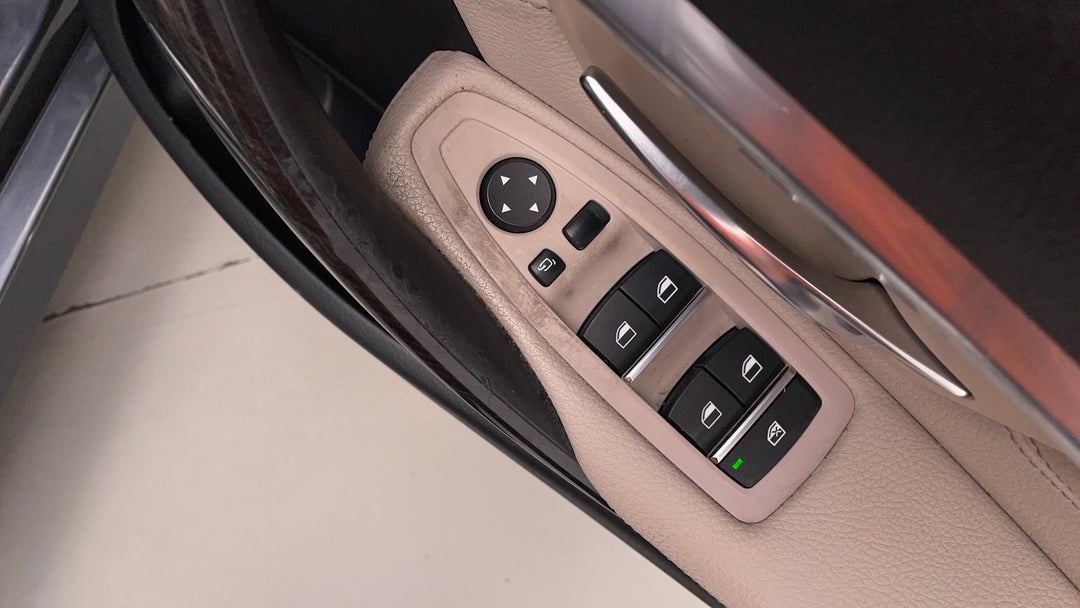 Drivers Side Door Panel Controls