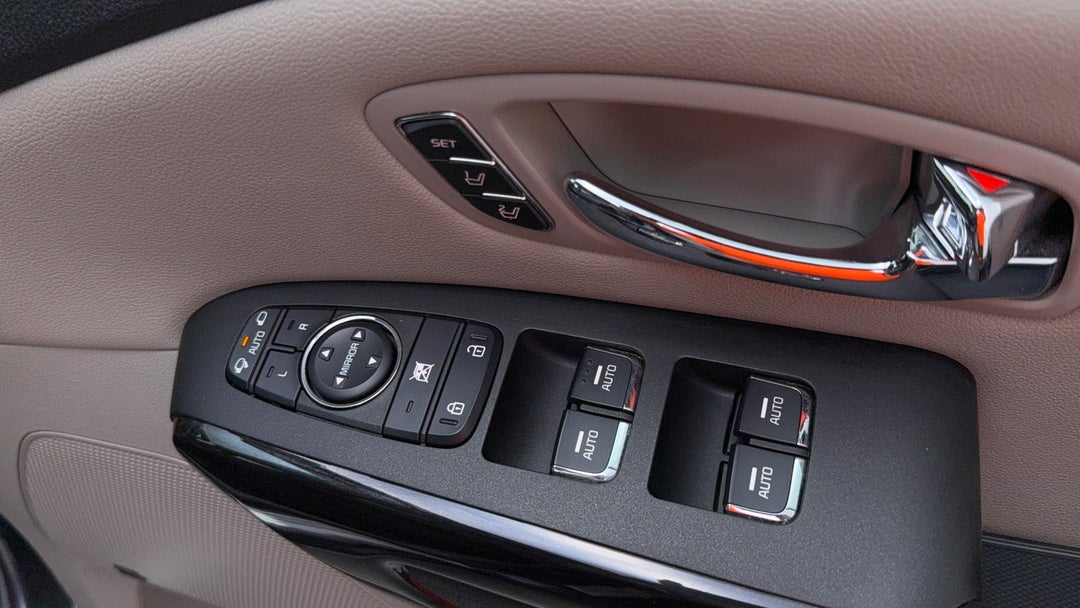 Drivers Side Door Panel Controls