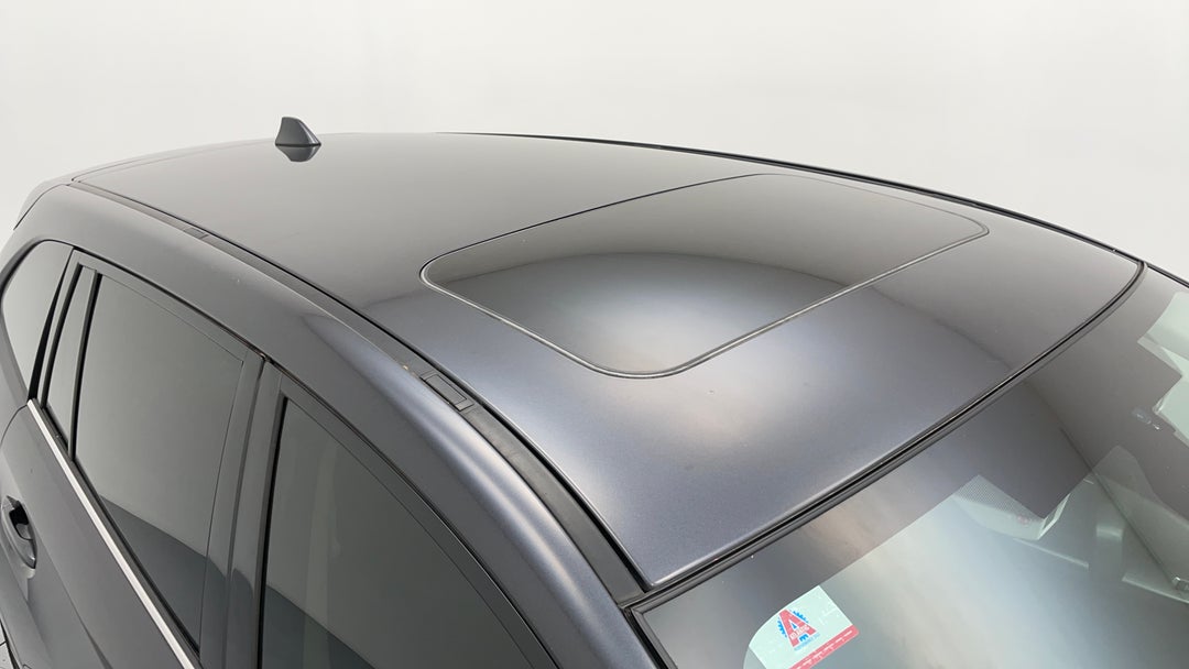 Roof/Sunroof View