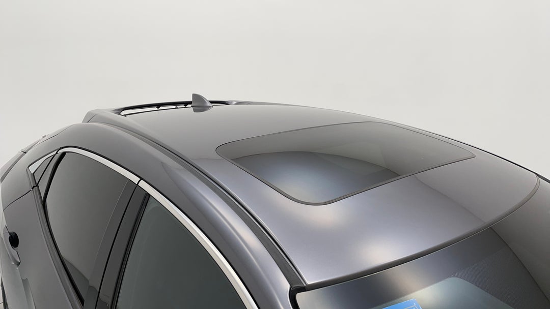 Roof/Sunroof View