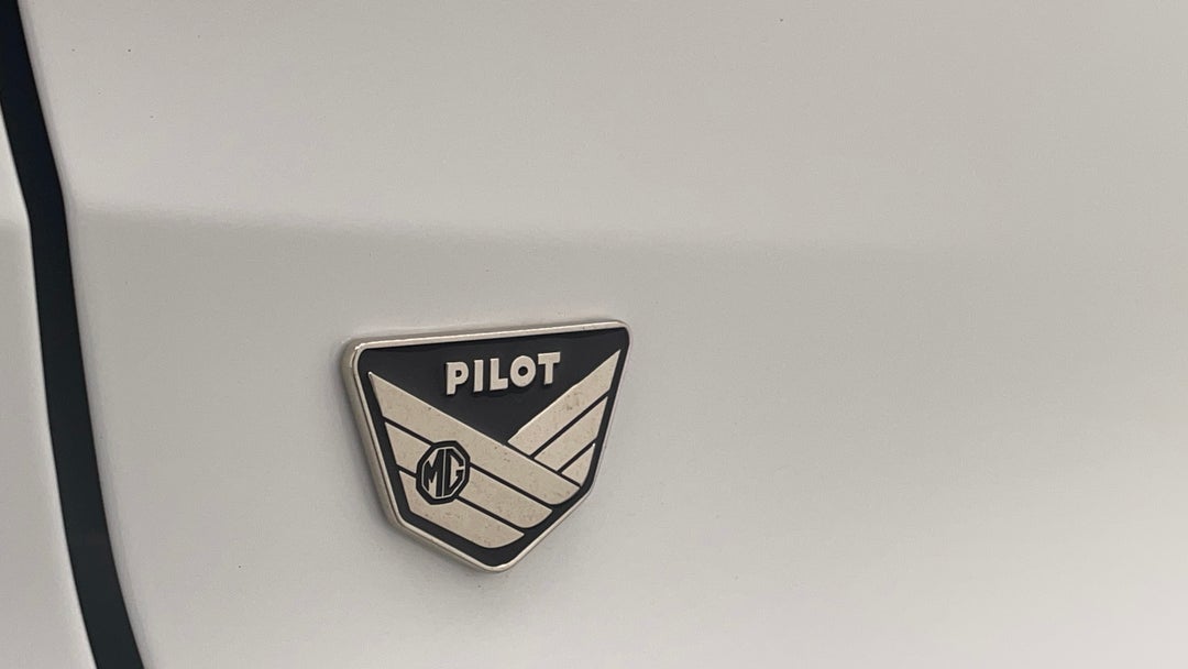 Badge (Boot Left Side)