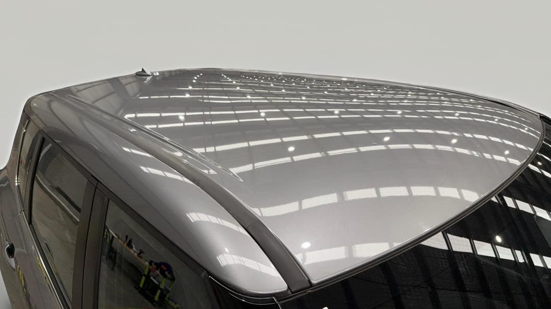 Roof/Sunroof View