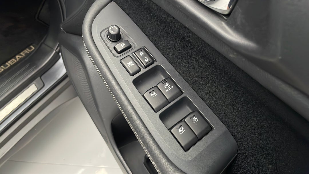 Drivers Side Door Panel Controls