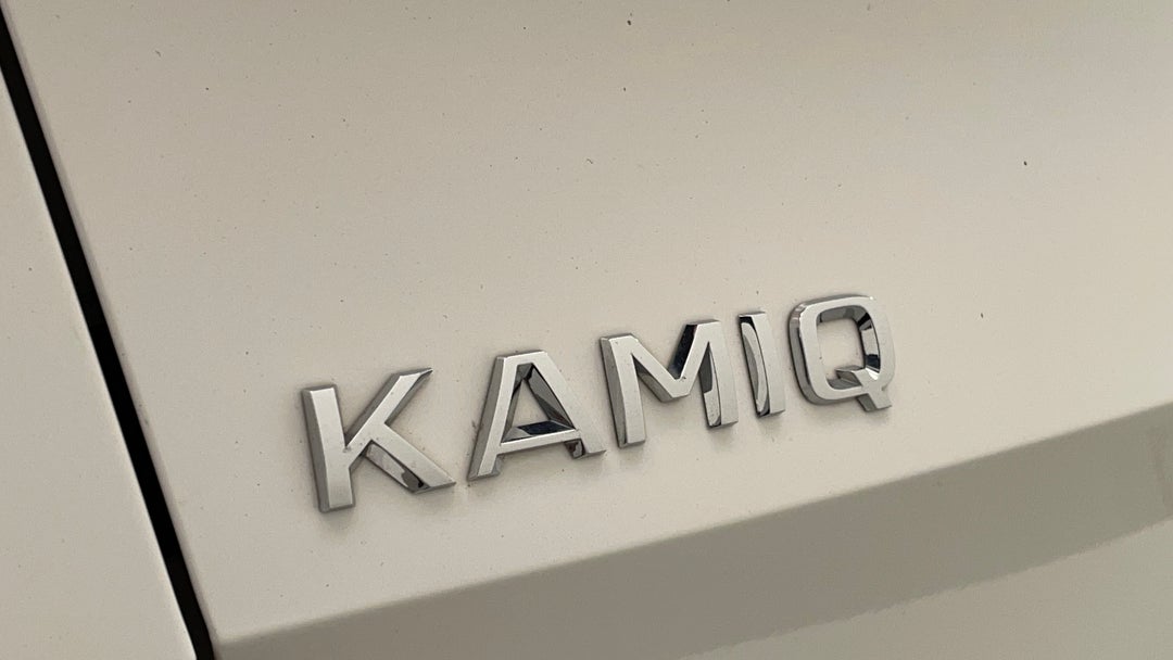 Badge (Boot Left Side)