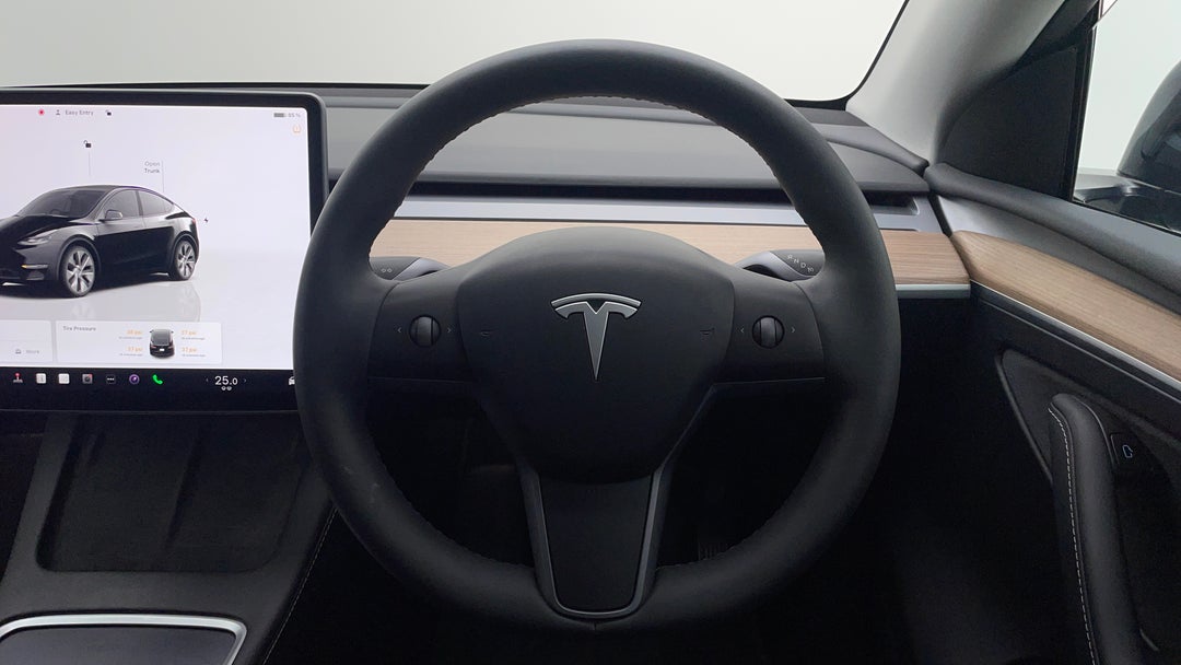 Steering Wheel Close-up
