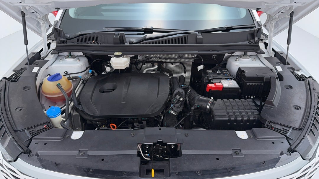 Open Bonnet (Engine)