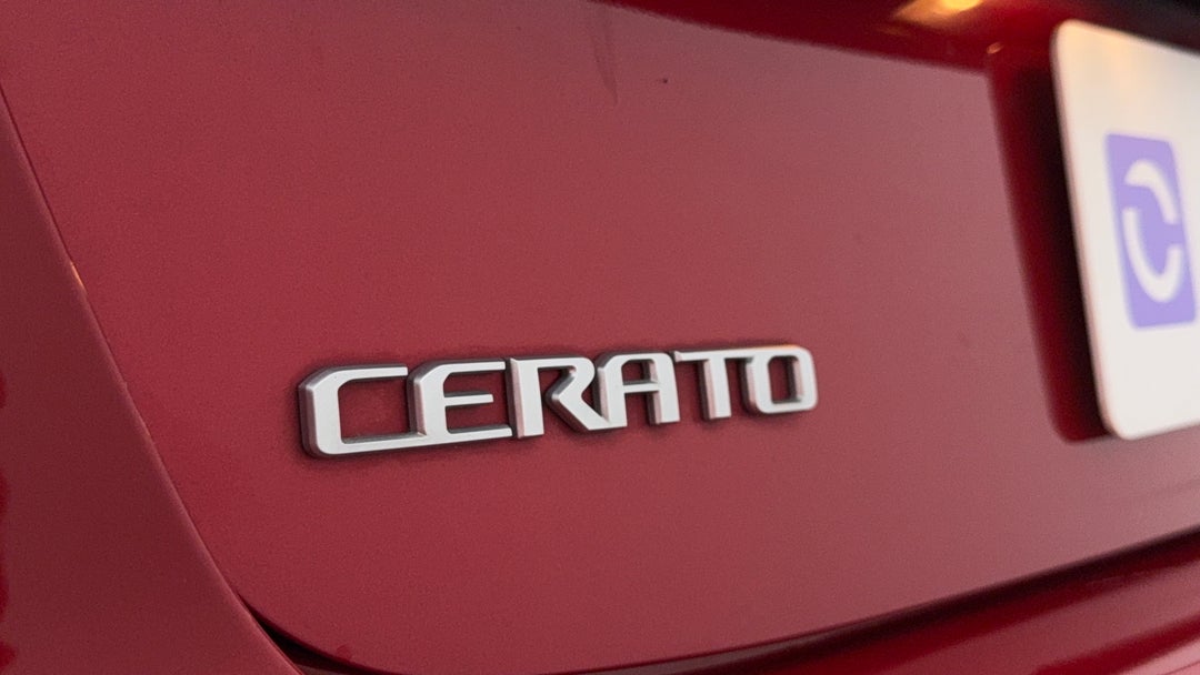 Badge (Boot Left Side)