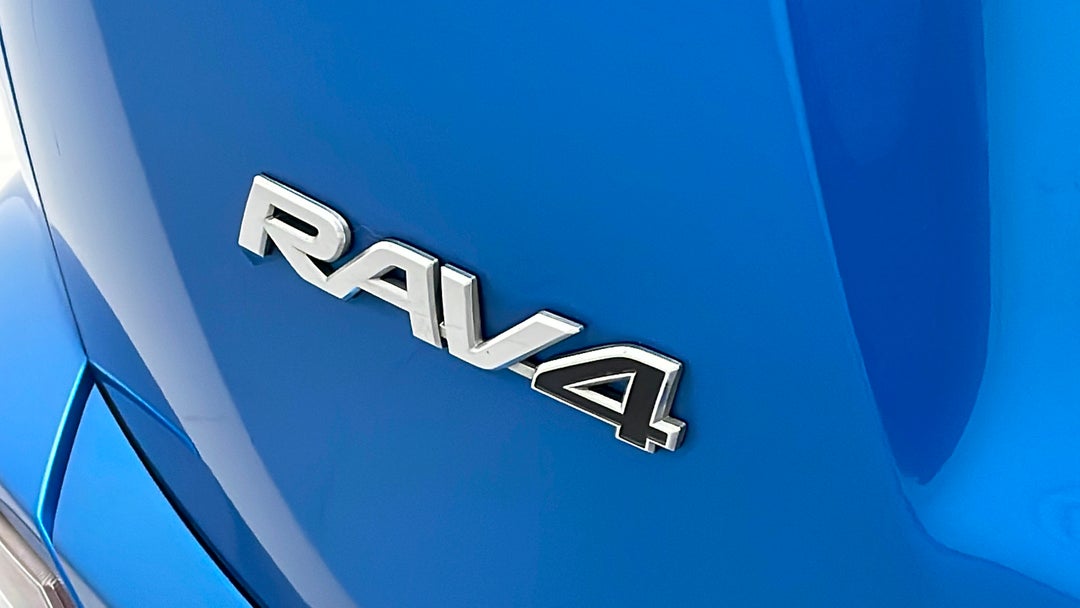 Badge (Boot Left Side)