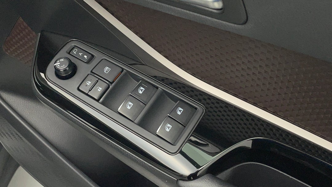 Drivers Side Door Panel Controls
