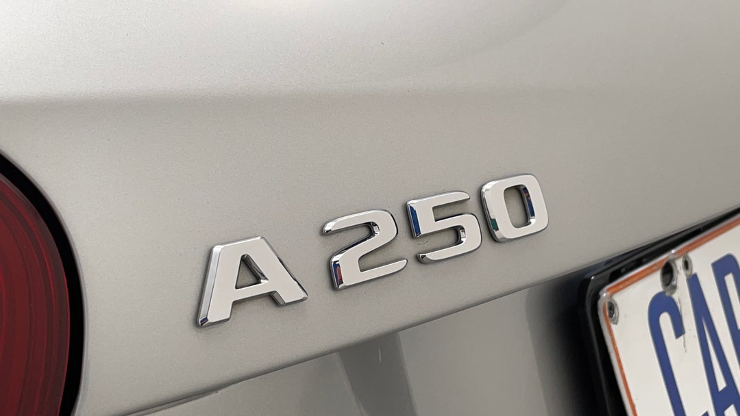 Badge (Boot Left Side)