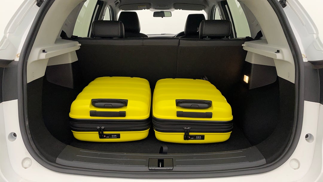 Boot Inside View with Luggage