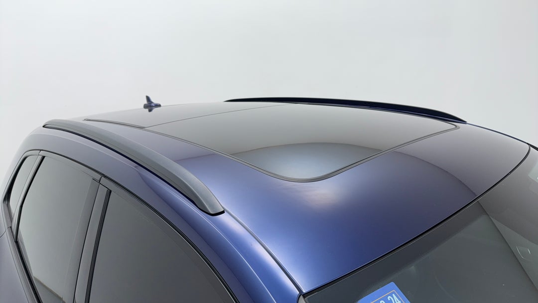 Roof/Sunroof View