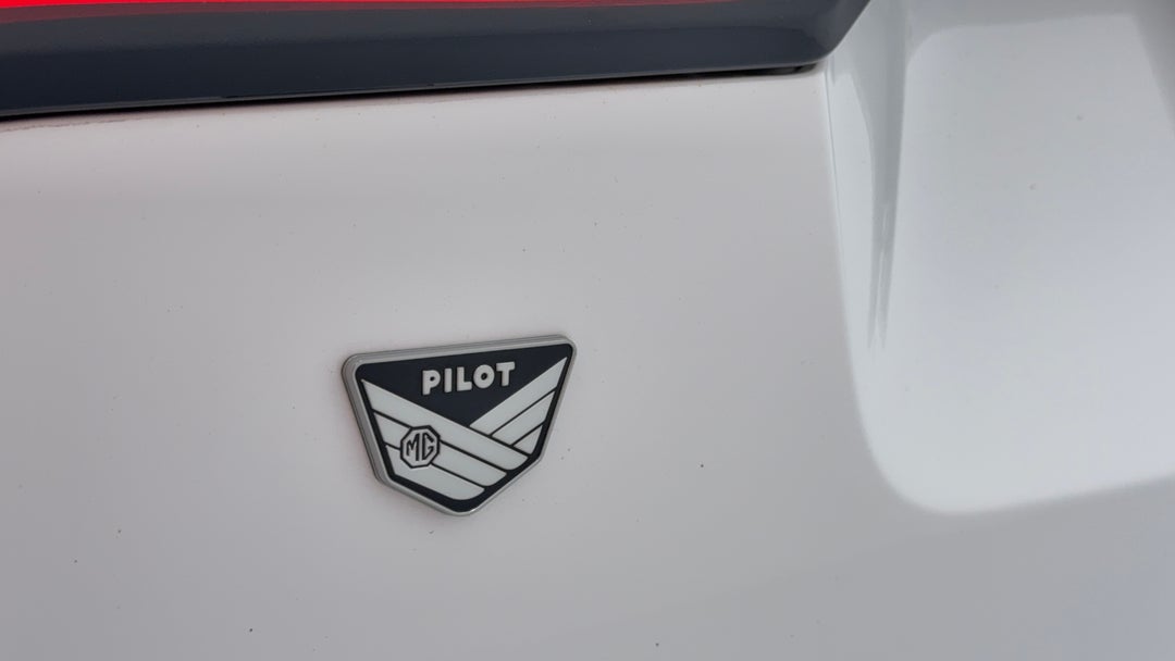 Badge (Boot Left Side)