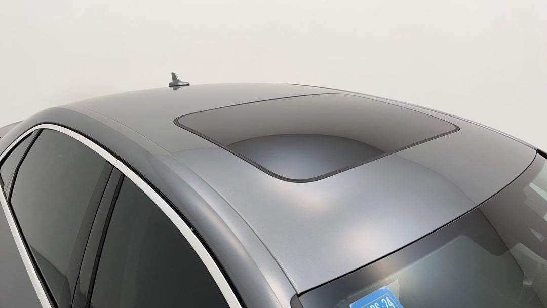 Roof/Sunroof View