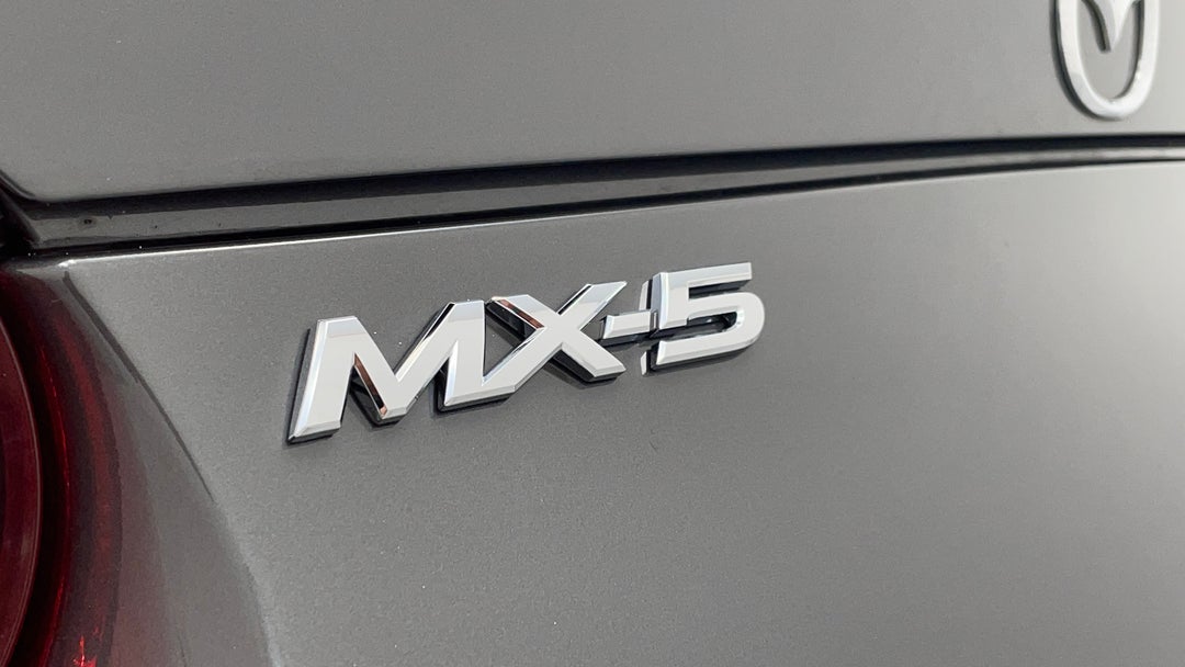 Badge (Boot Left Side)