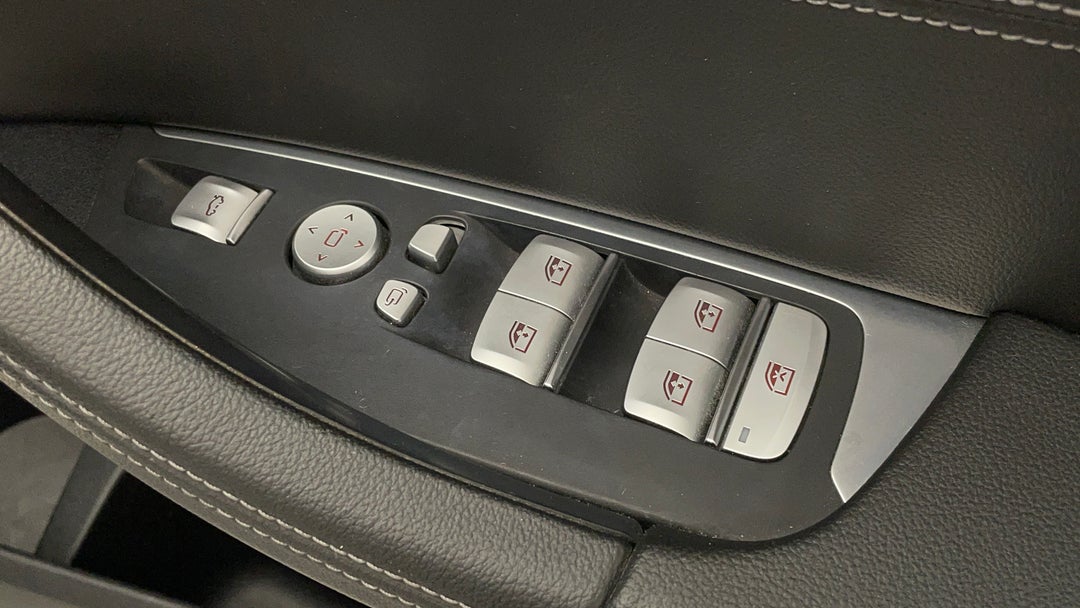 Drivers Side Door Panel Controls