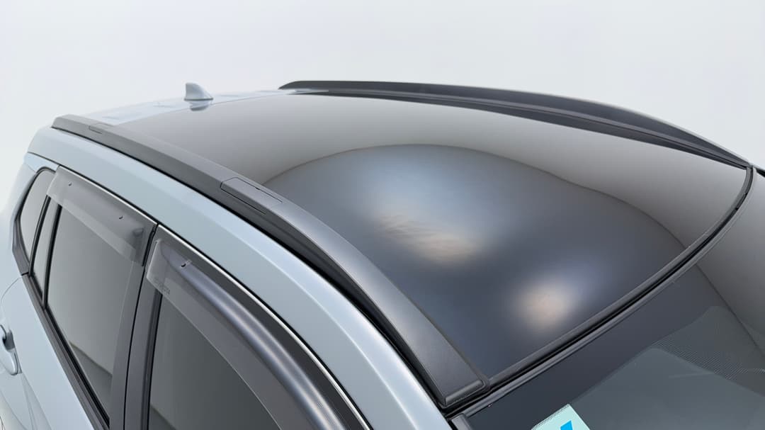 Roof/Sunroof View