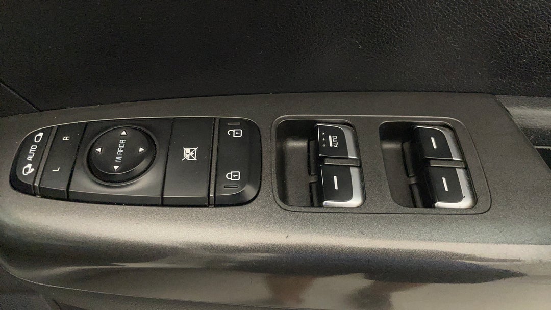 Drivers Side Door Panel Controls