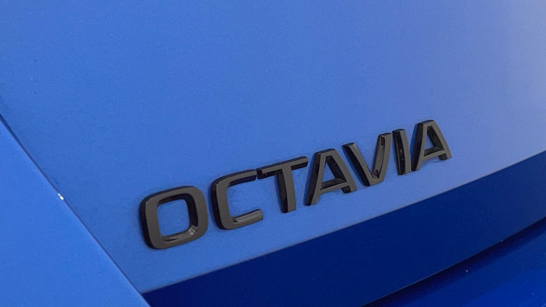 Badge (Boot Left Side)