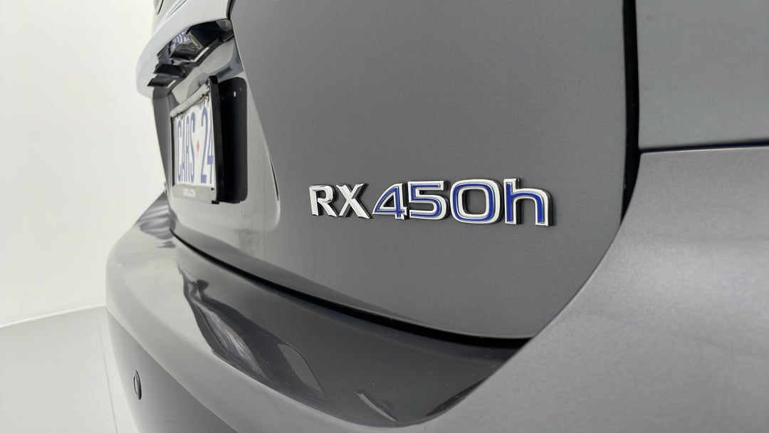 Badge (Boot Right Side)