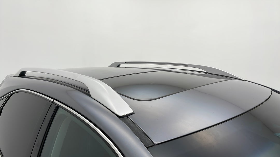 Roof/Sunroof View