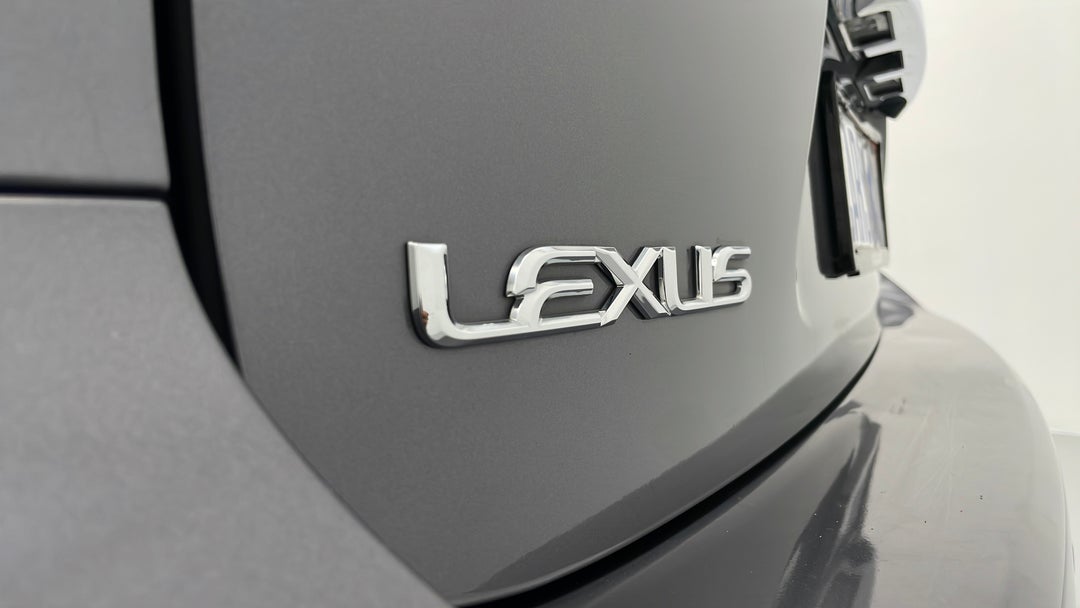 Badge (Boot Left Side)