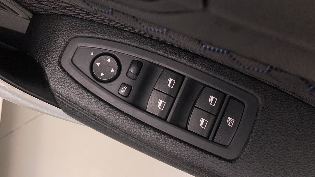 Drivers Side Door Panel Controls
