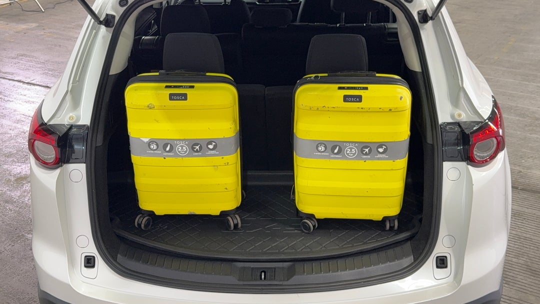 Boot Inside View with Luggage