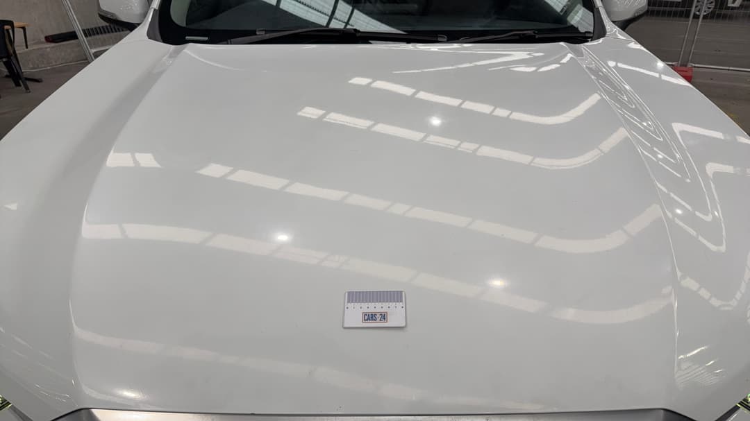 Bonnet Dent