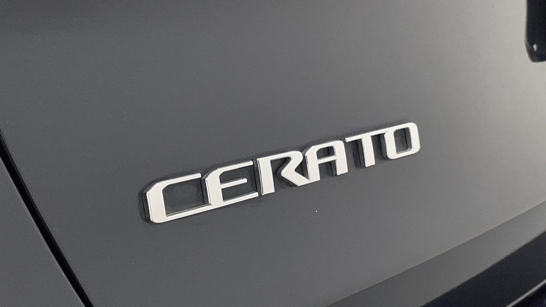 Badge (Boot Left Side)