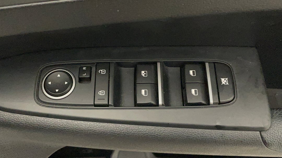 Drivers Side Door Panel Controls