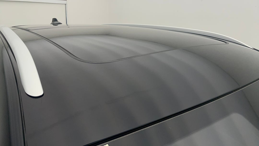 Roof/Sunroof View