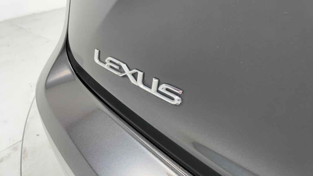 Badge (Boot Left Side)