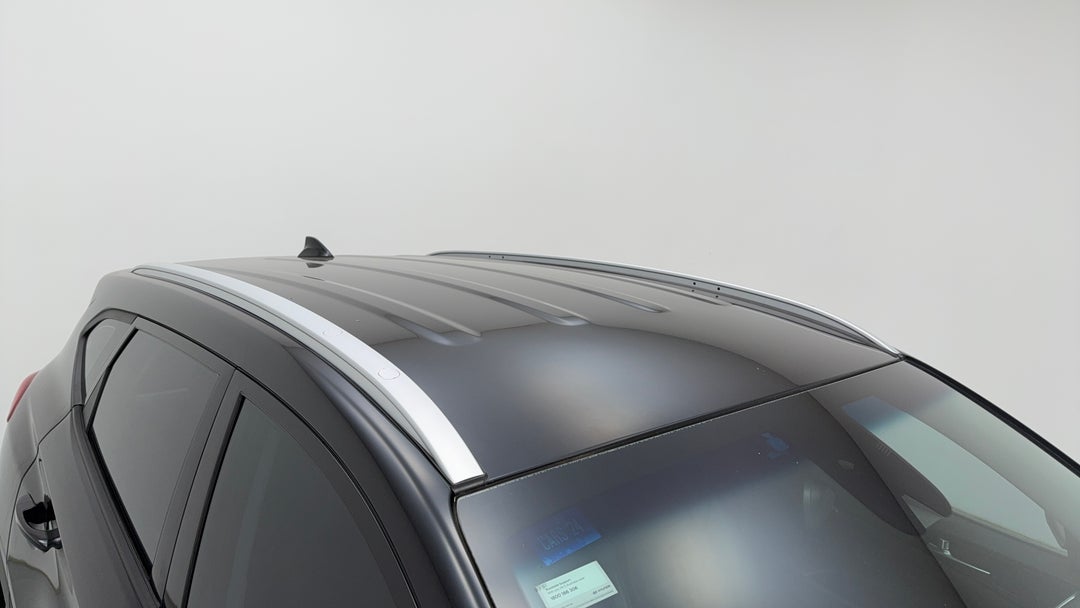 Roof/Sunroof View