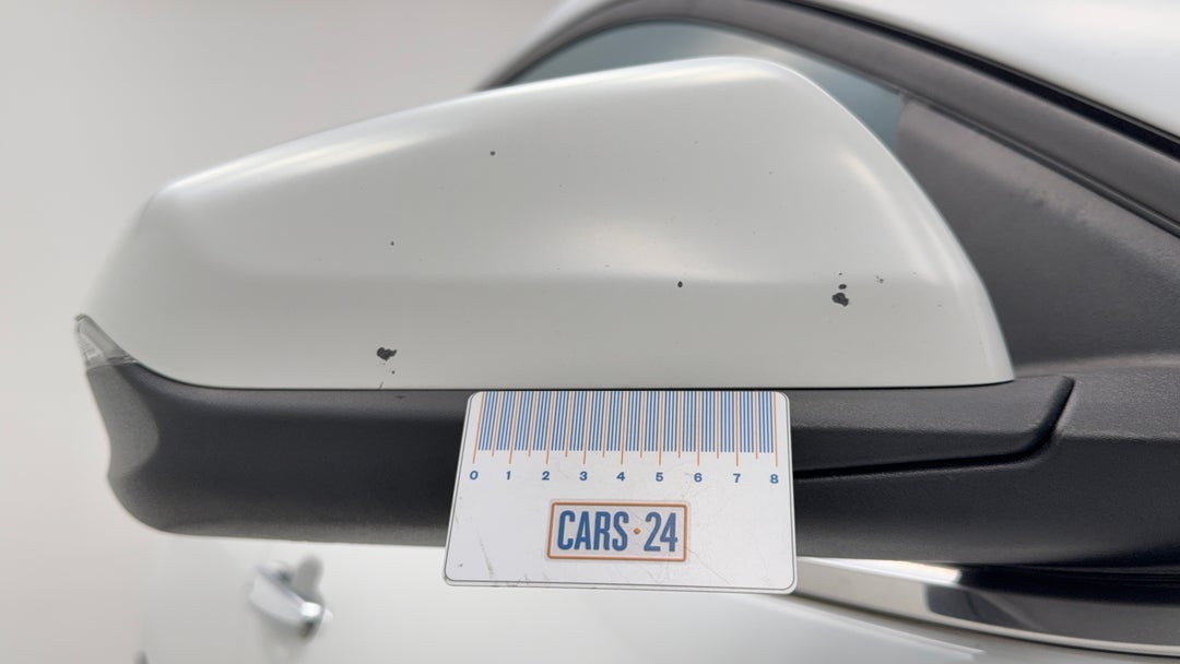 Side Mirrors Housing RHS Chip