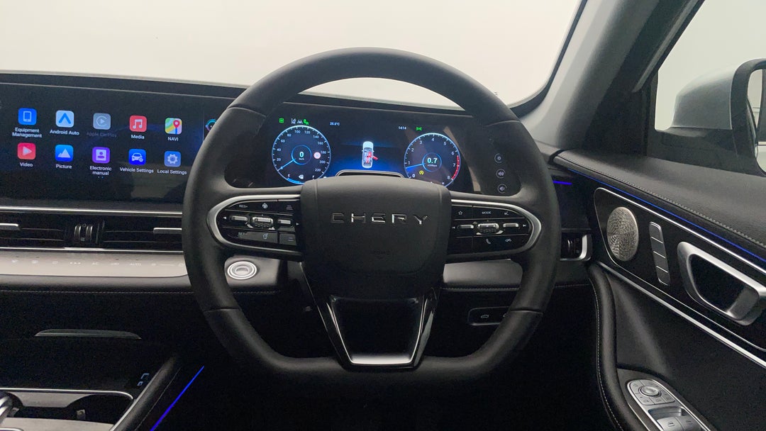 Steering Wheel Close-up