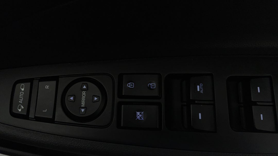 Drivers Side Door Panel Controls