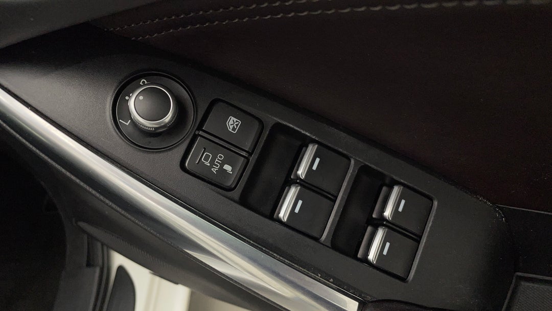 Drivers Side Door Panel Controls