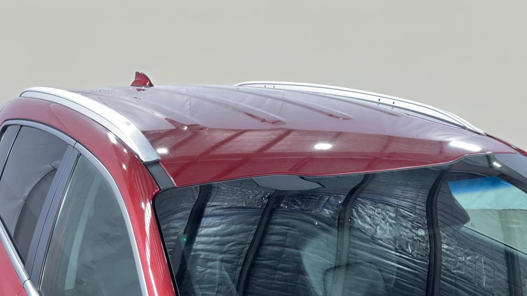 Roof/Sunroof View